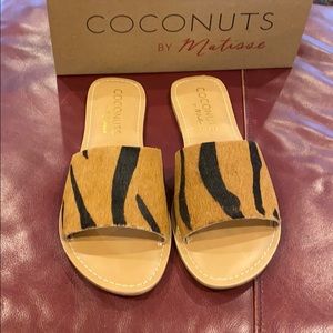 Coconuts by Matisse Tiger Slip on Shoes